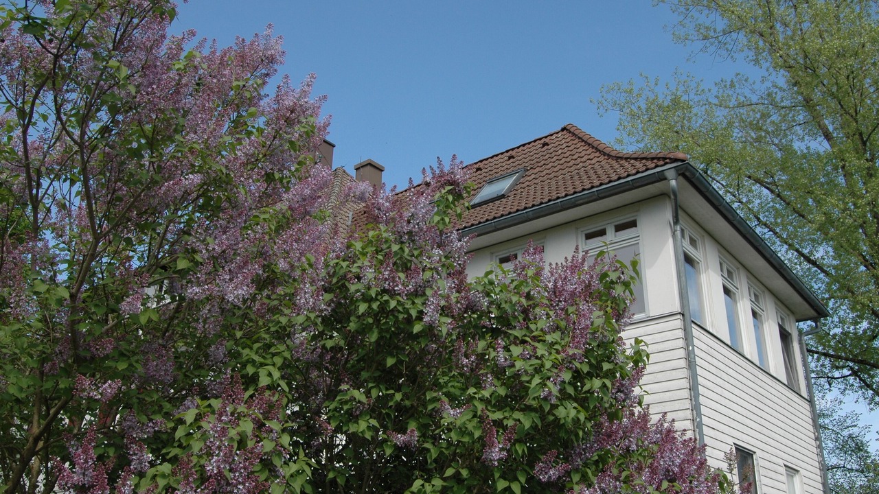 Photo of Outdoor in Christazhofen