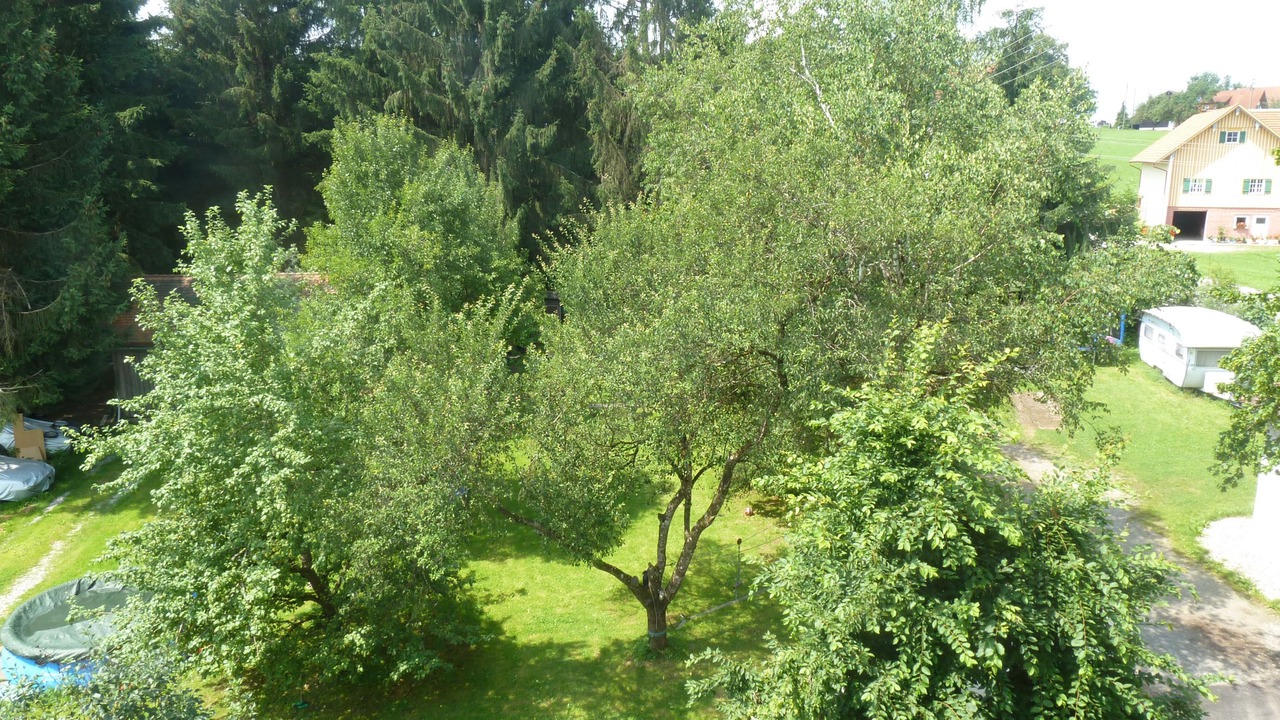 Photo of Outdoor in Christazhofen