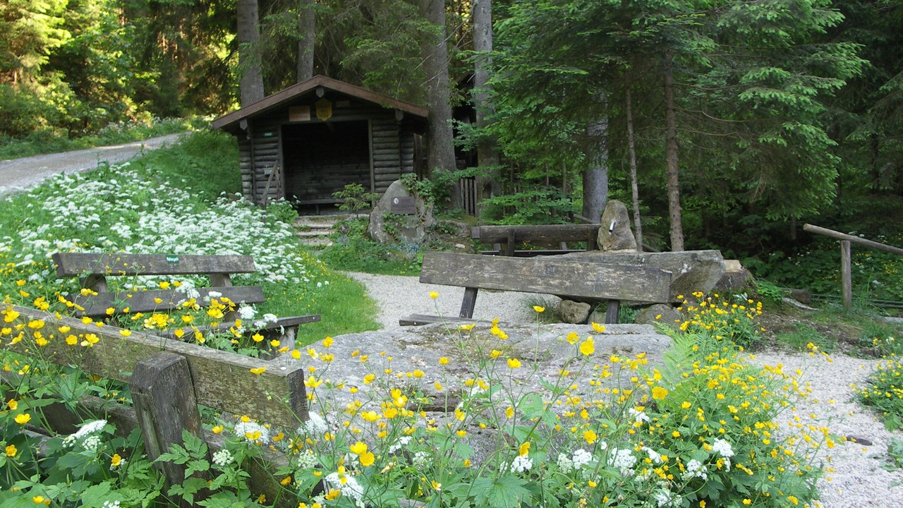 Photo of Outdoor in Kollnburg