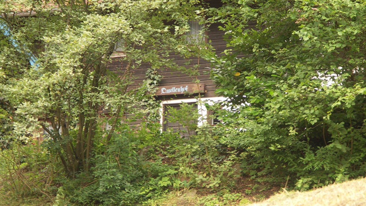 Photo of Outdoor in Kollnburg