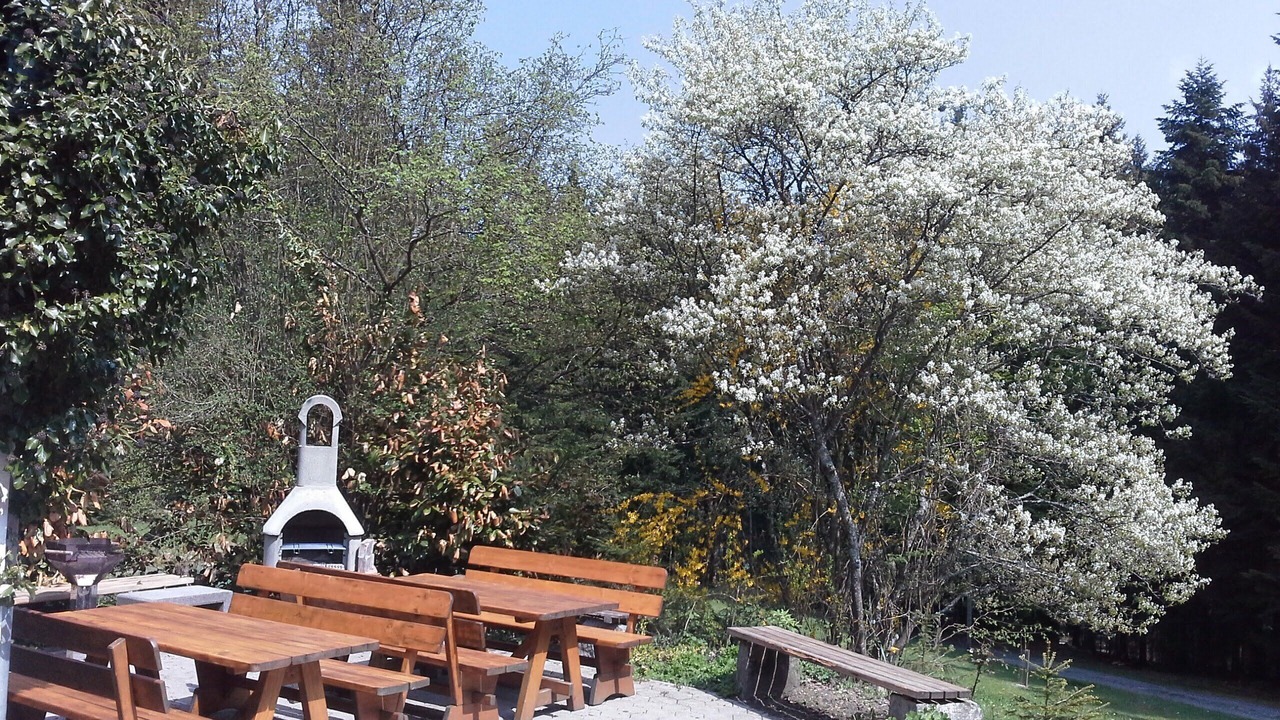 Photo of Outdoor in Kollnburg