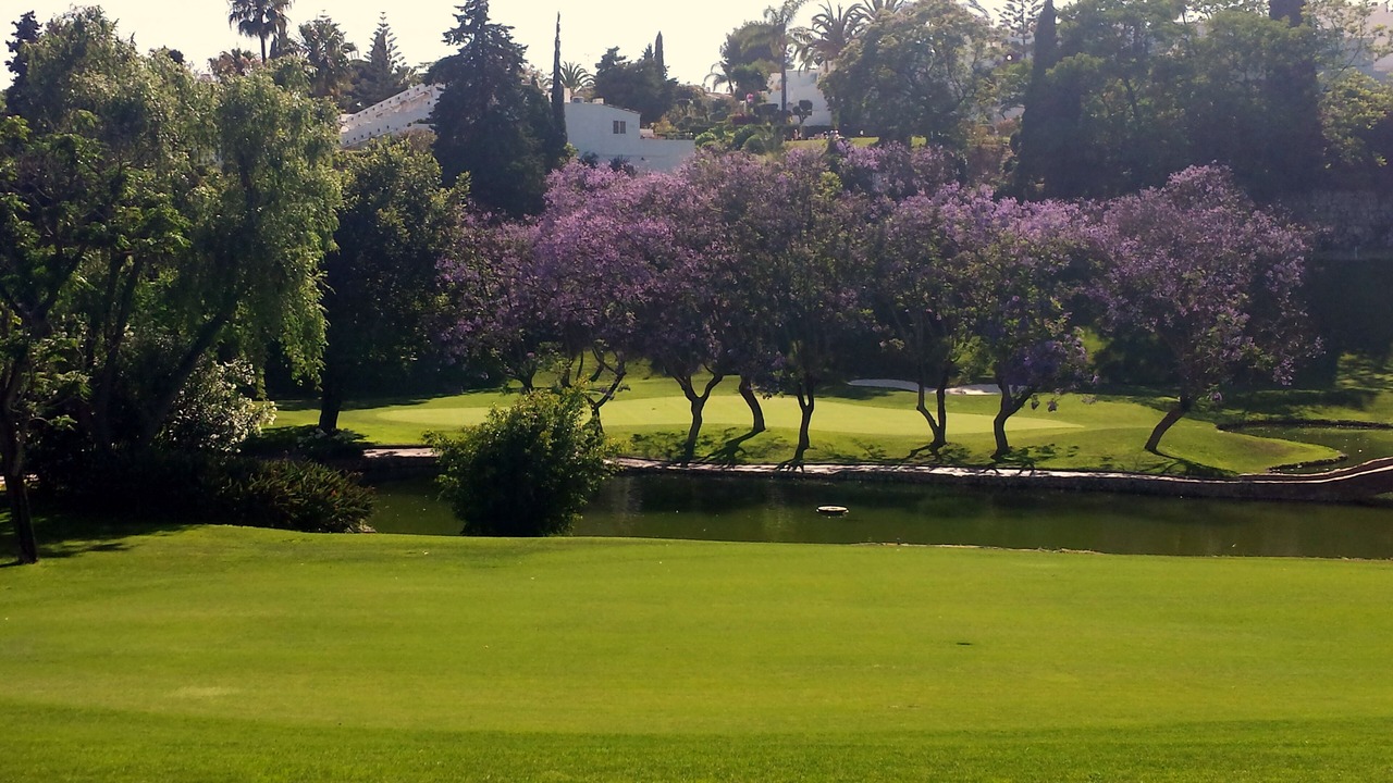 Photo of Others in Marbella
