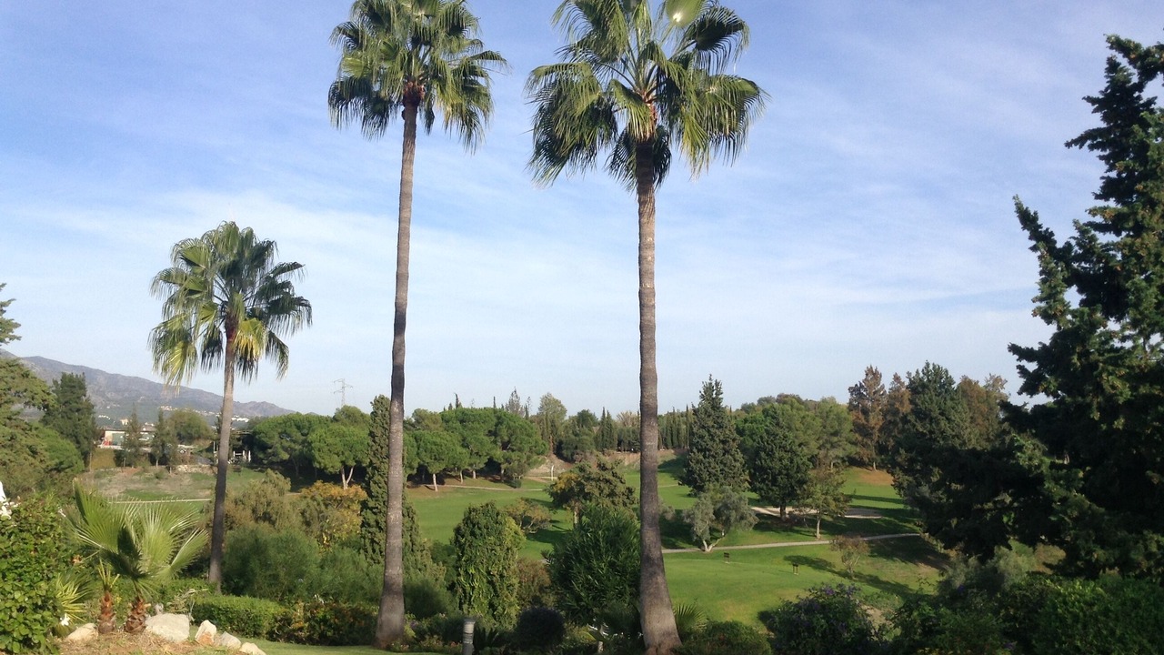 Photo of Outdoor in Marbella