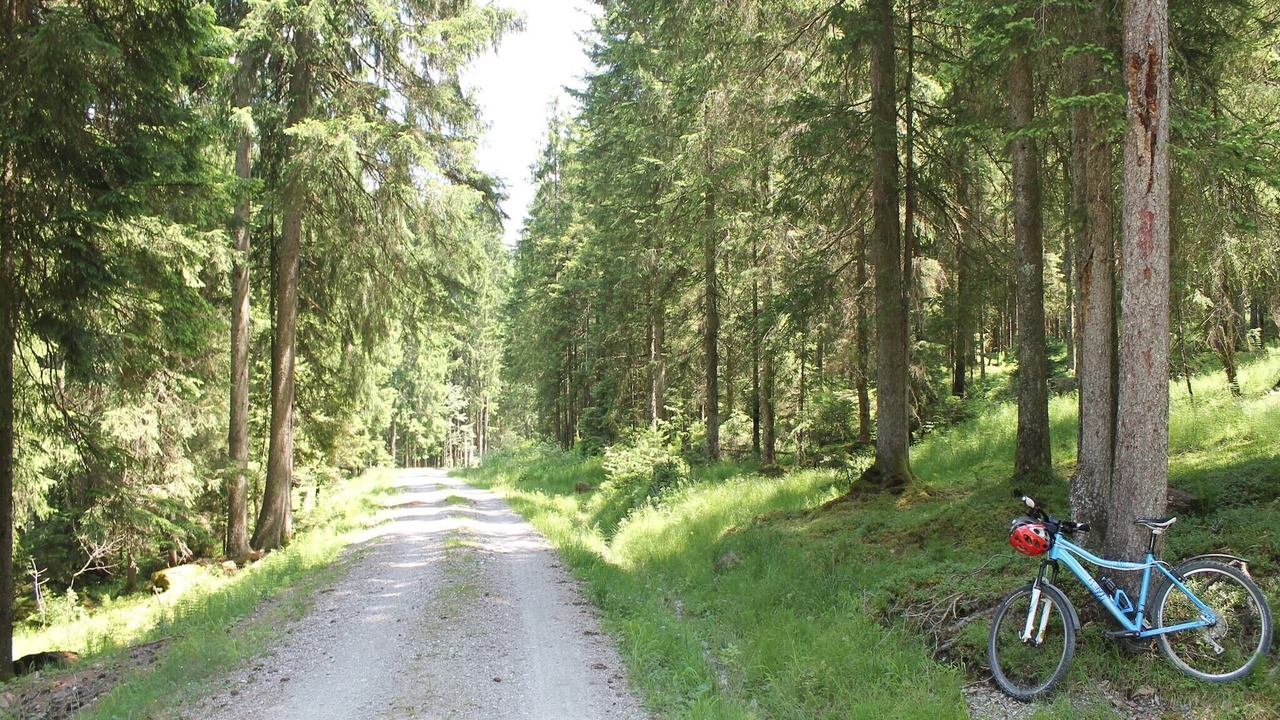 Photo of Others in Trauchgau