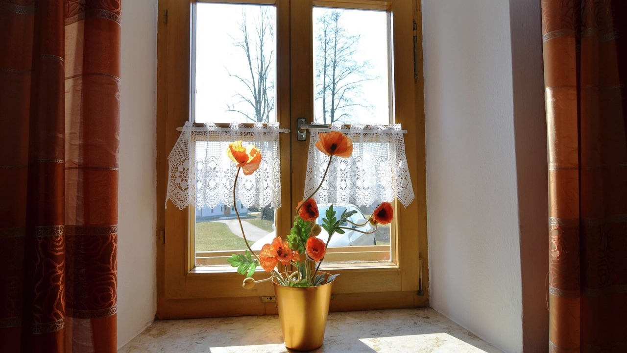 Photo of Others in Viechtach