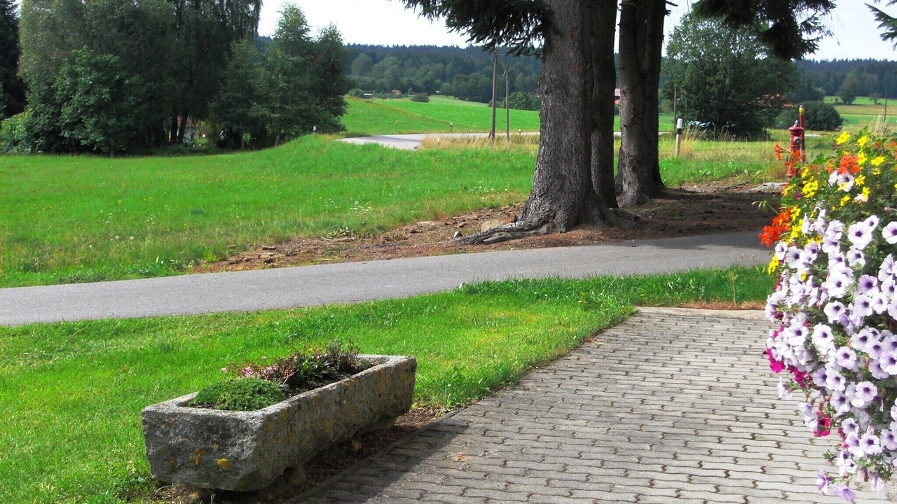 Photo of Others in Viechtach