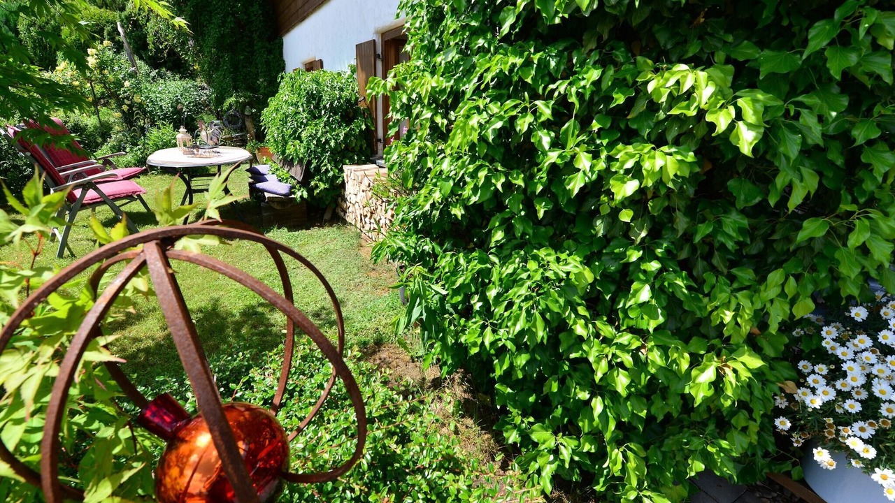 Photo of Outdoor in Bayerisch Eisenstein
