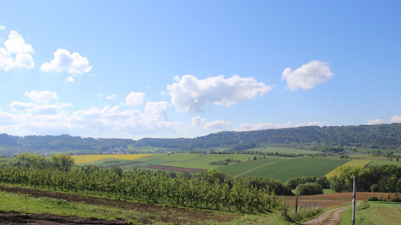 Photo of Others in Kunreuth