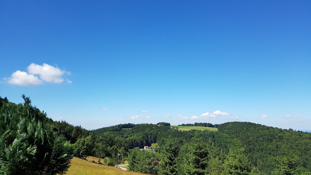 Photo of Others in Schofweg