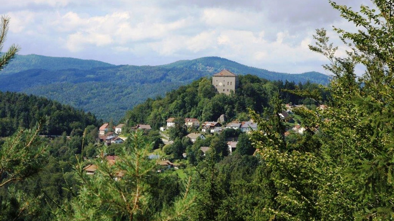 Photo of Others in Saldenburg