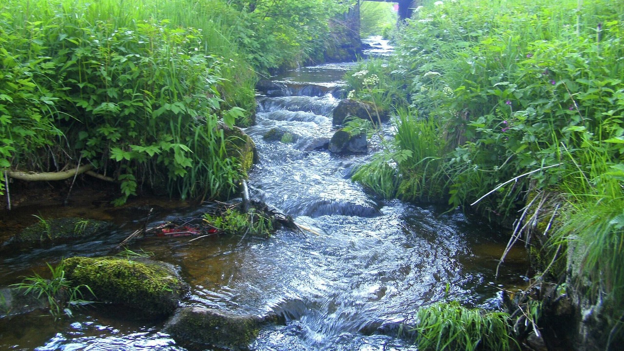 Photo of Others in Sankt Georgen im Schwarzwald