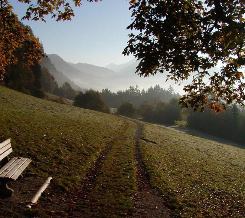 Photo of Others in Birnbach