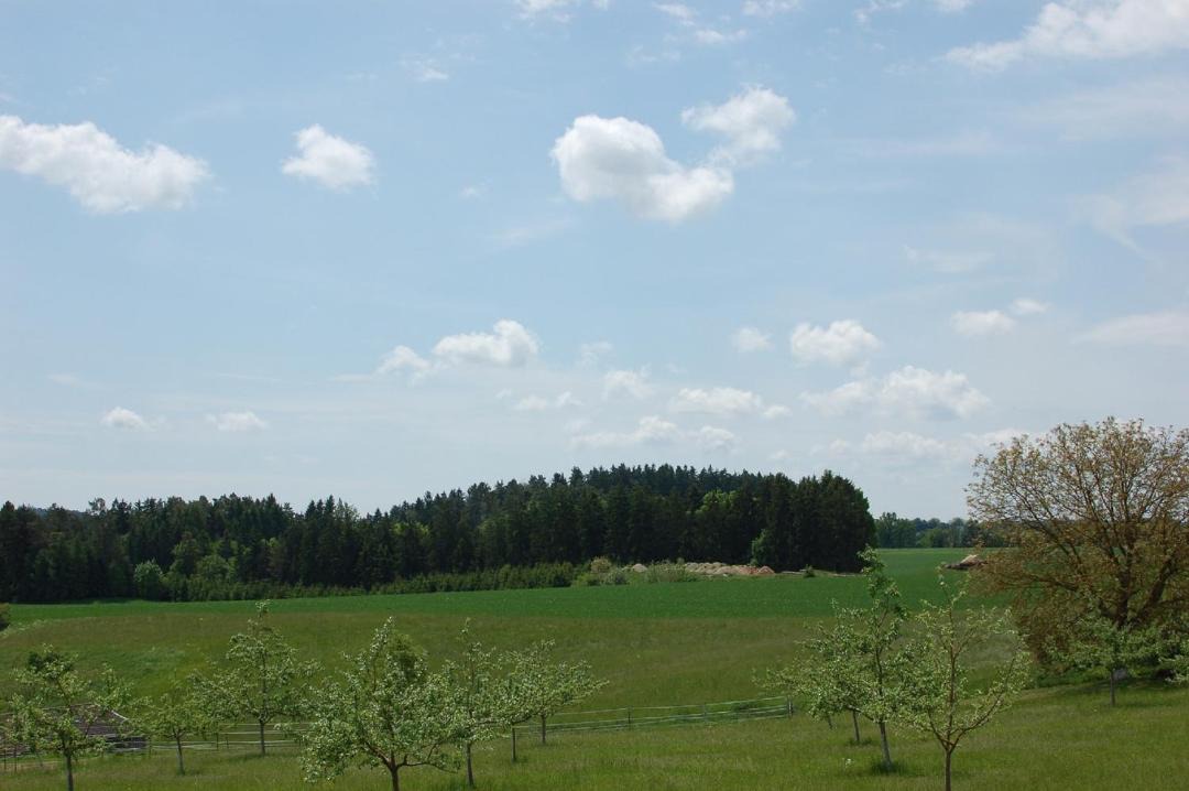 Photo of Others in Breitenbrunn