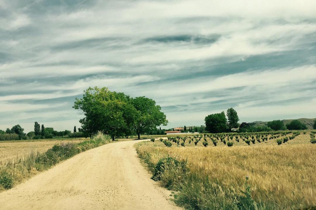 Photo of Others in Chinchon