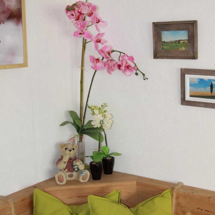 Photo of Livingroom in Igelsdorf