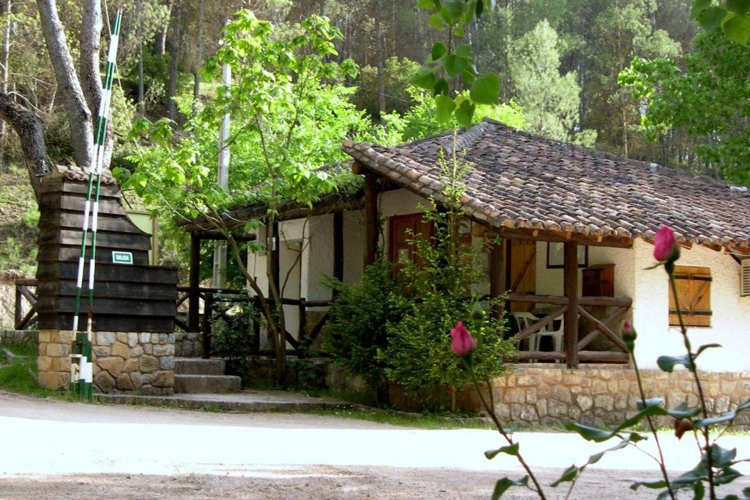 Photo of Others in Coto Rios