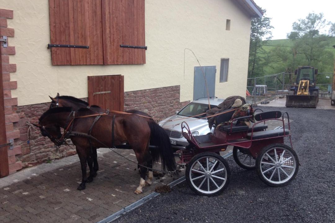 Photo of Others in Sommerau