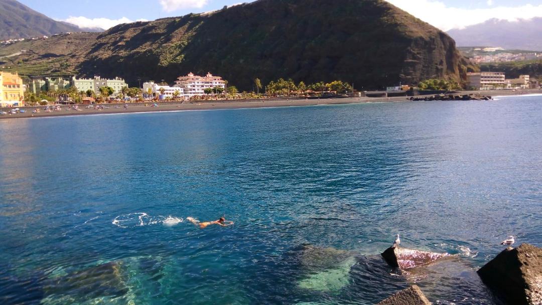 Photo of Others in Puerto de Tazacorte