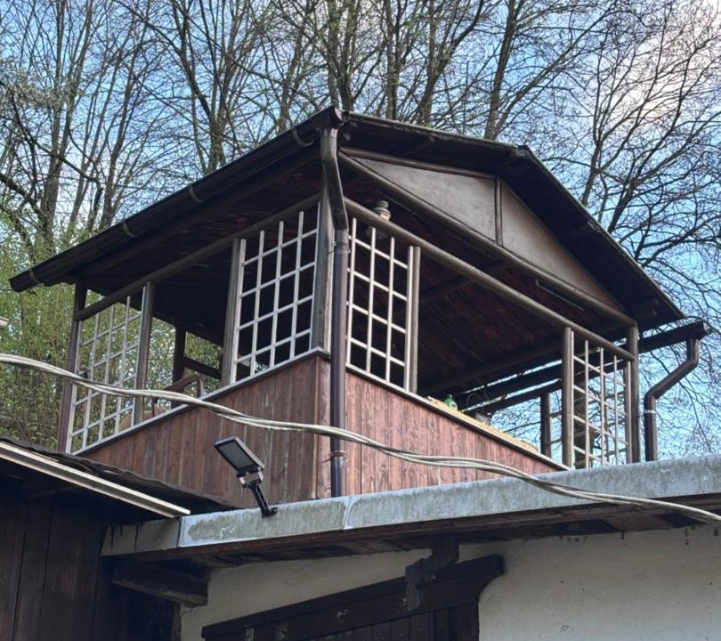 Photo of Others in Schmilka