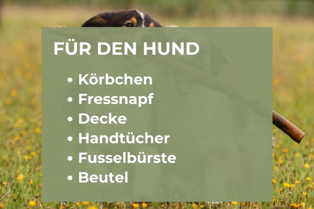 Photo of Others in Alpirsbach