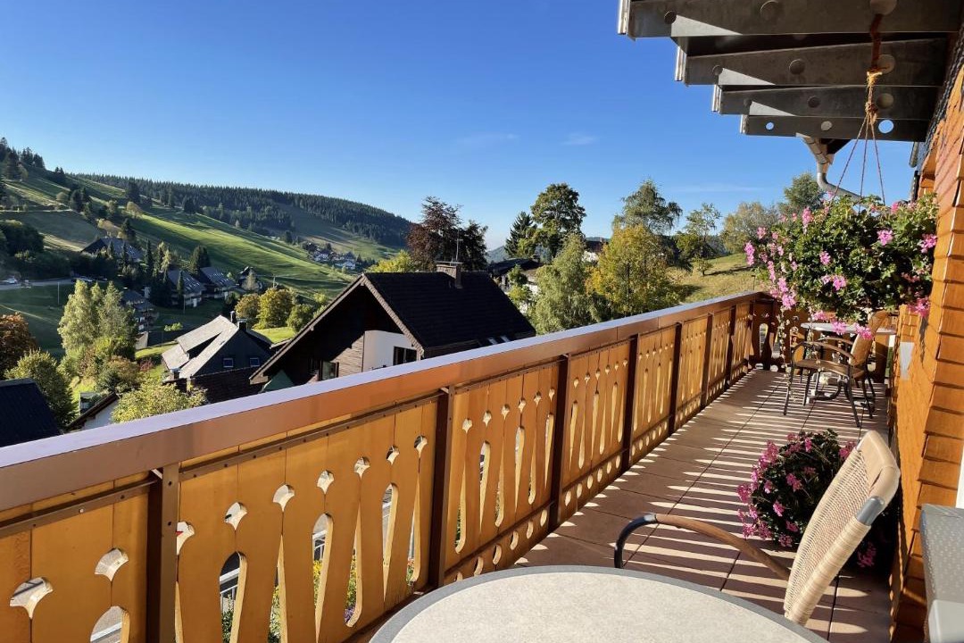 Photo of Others in Todtnau