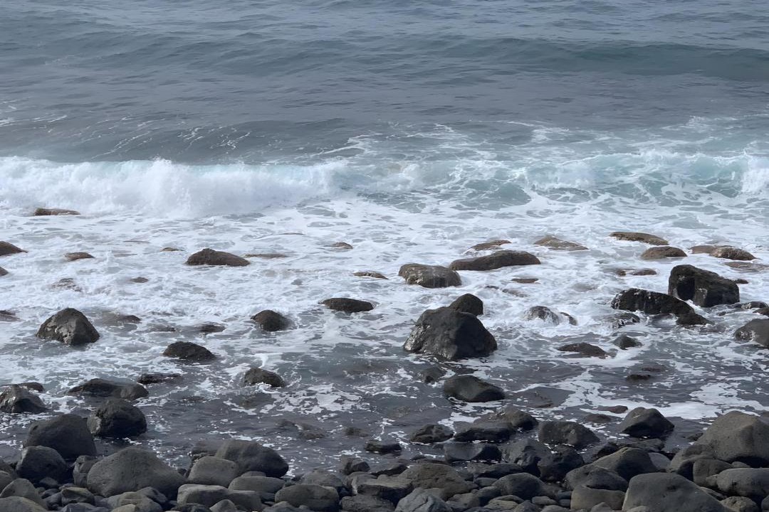 Photo of Others in San Felipe