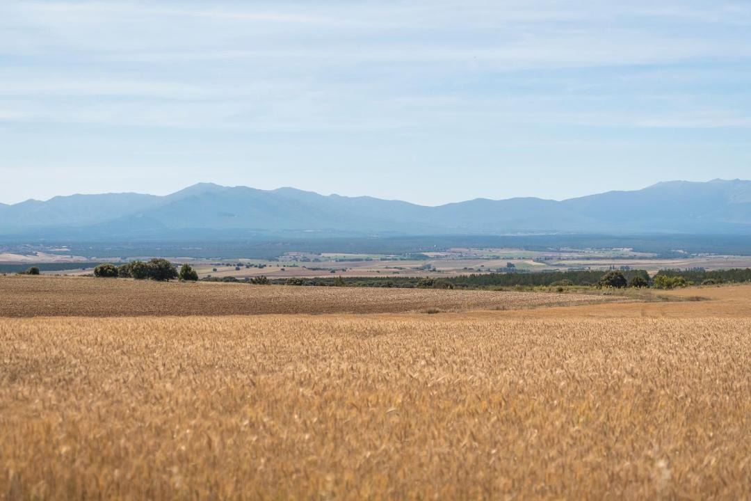 Photo of Others in Moral de Hornuez
