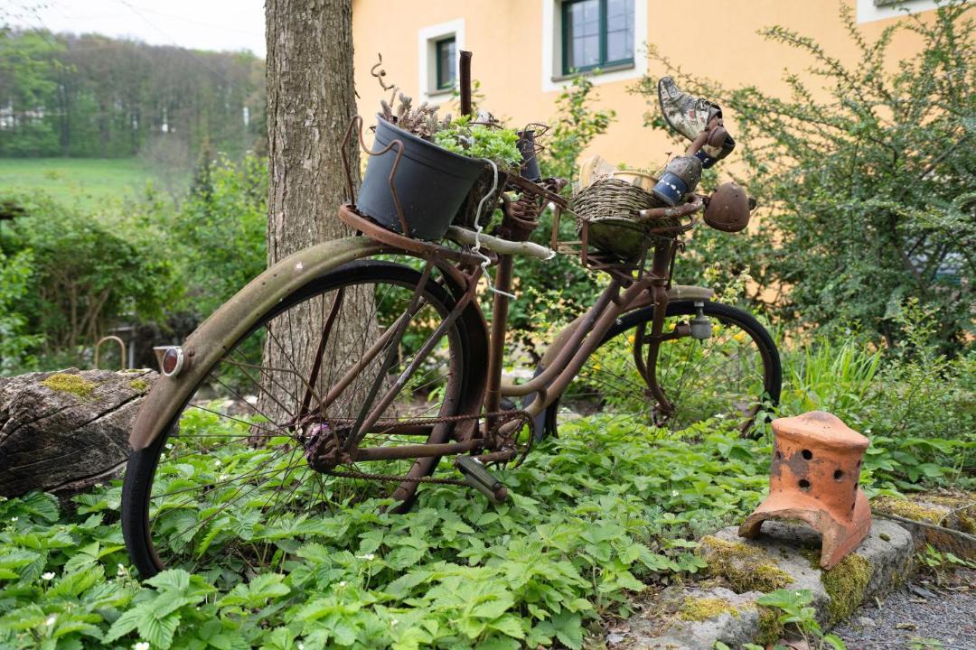 Photo of Others in Berggieshubel
