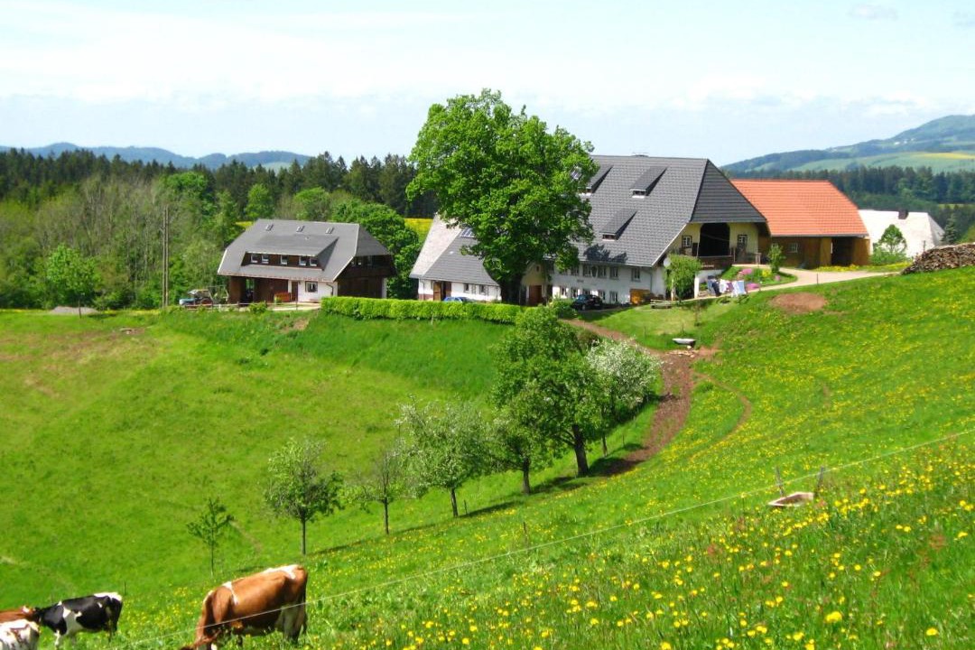 Photo of Others in Sankt Maergen