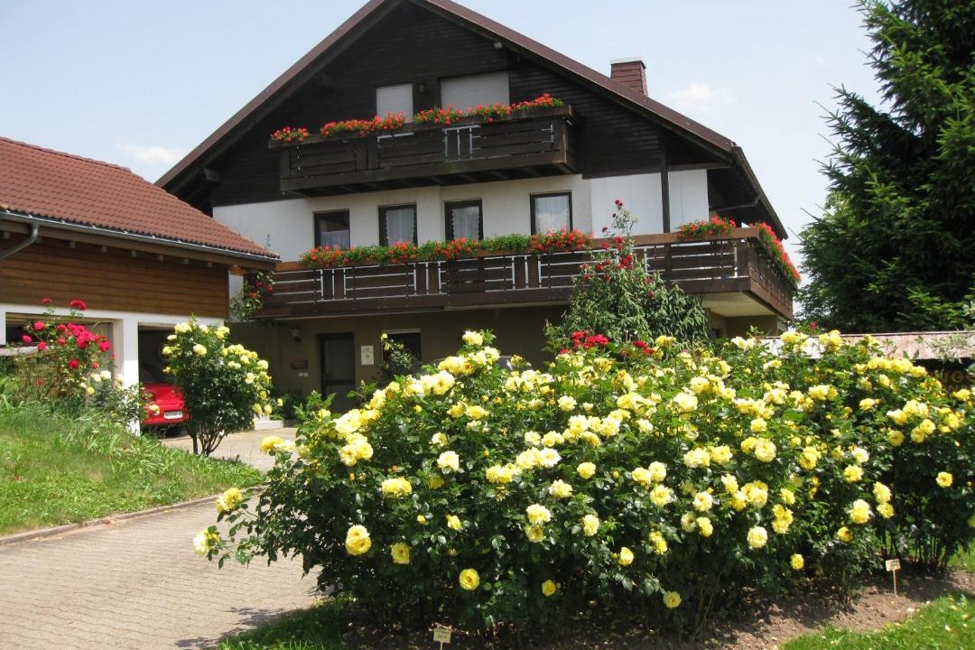 Photo of Others in Weilheim