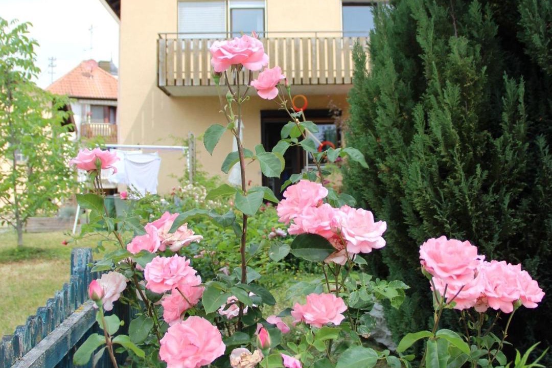 Photo of Others in Muehlingen
