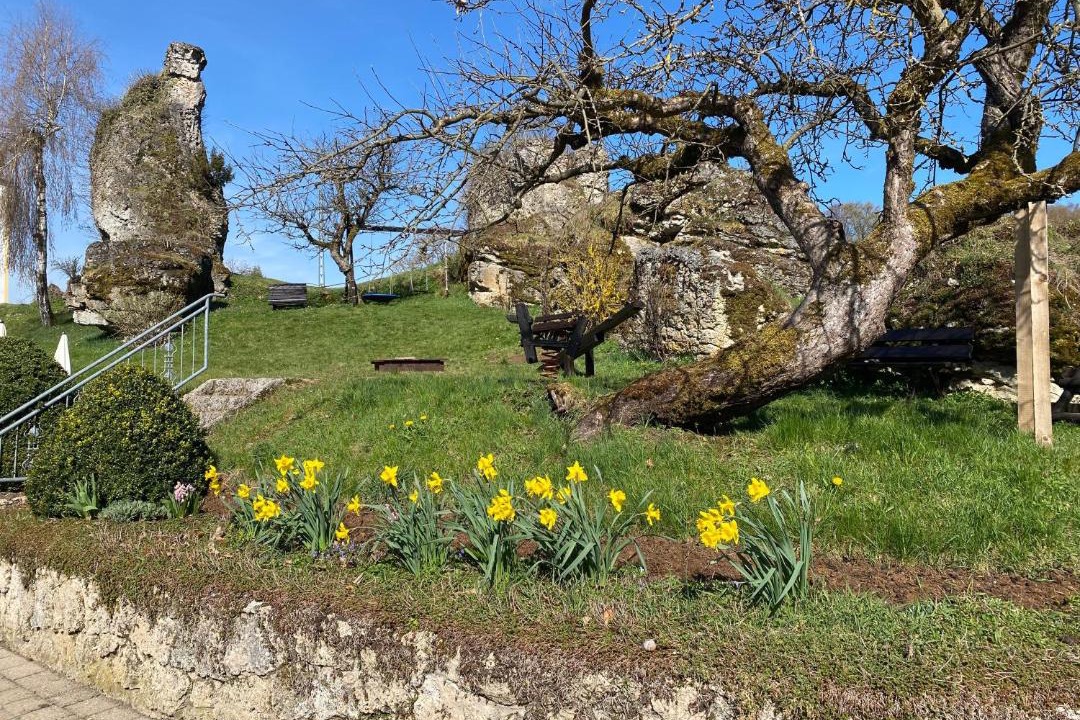 Photo of Others in Obertrubach