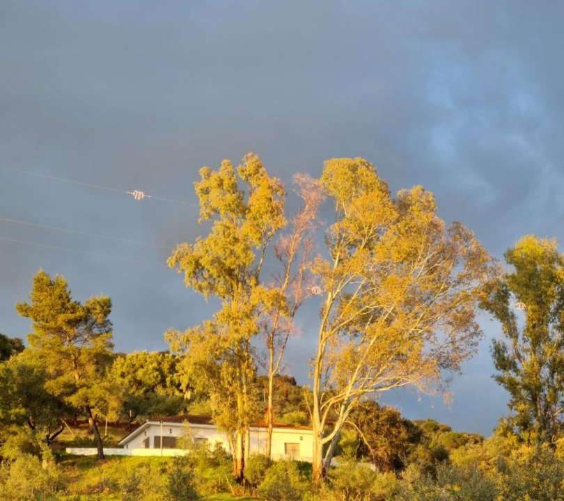 Photo of Others in Constantina