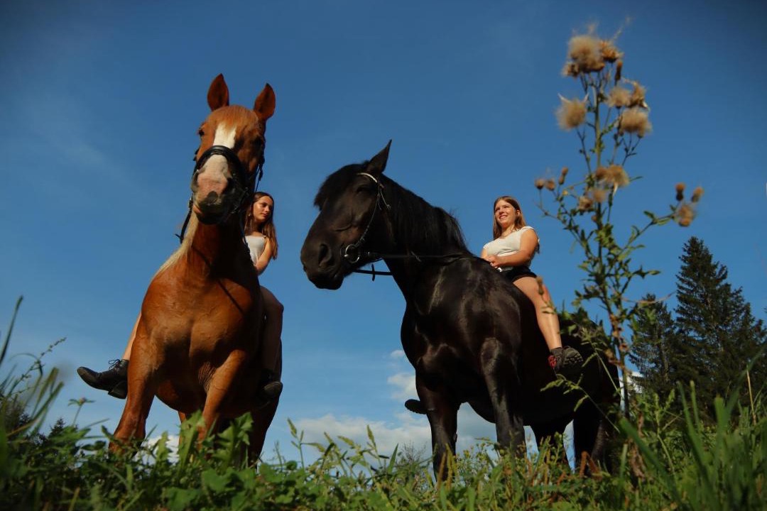 Photo of Others in Laßnitz bei Murau