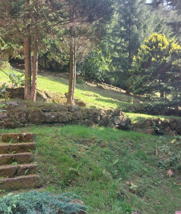 Photo of Others in Bad Schandau