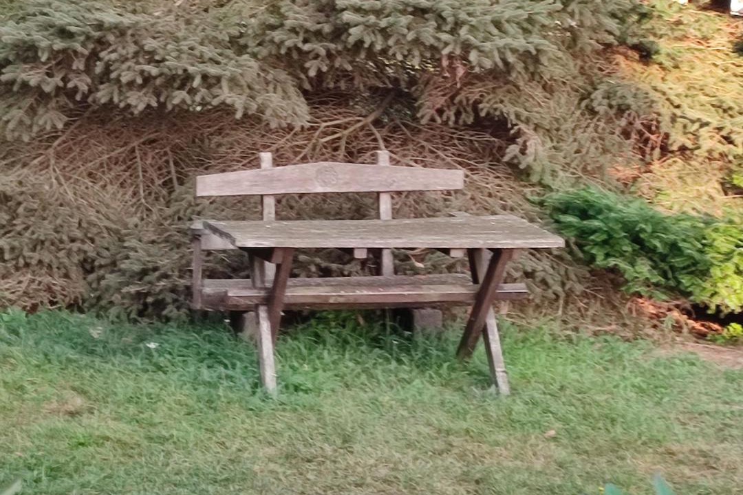 Photo of Others in Warthe