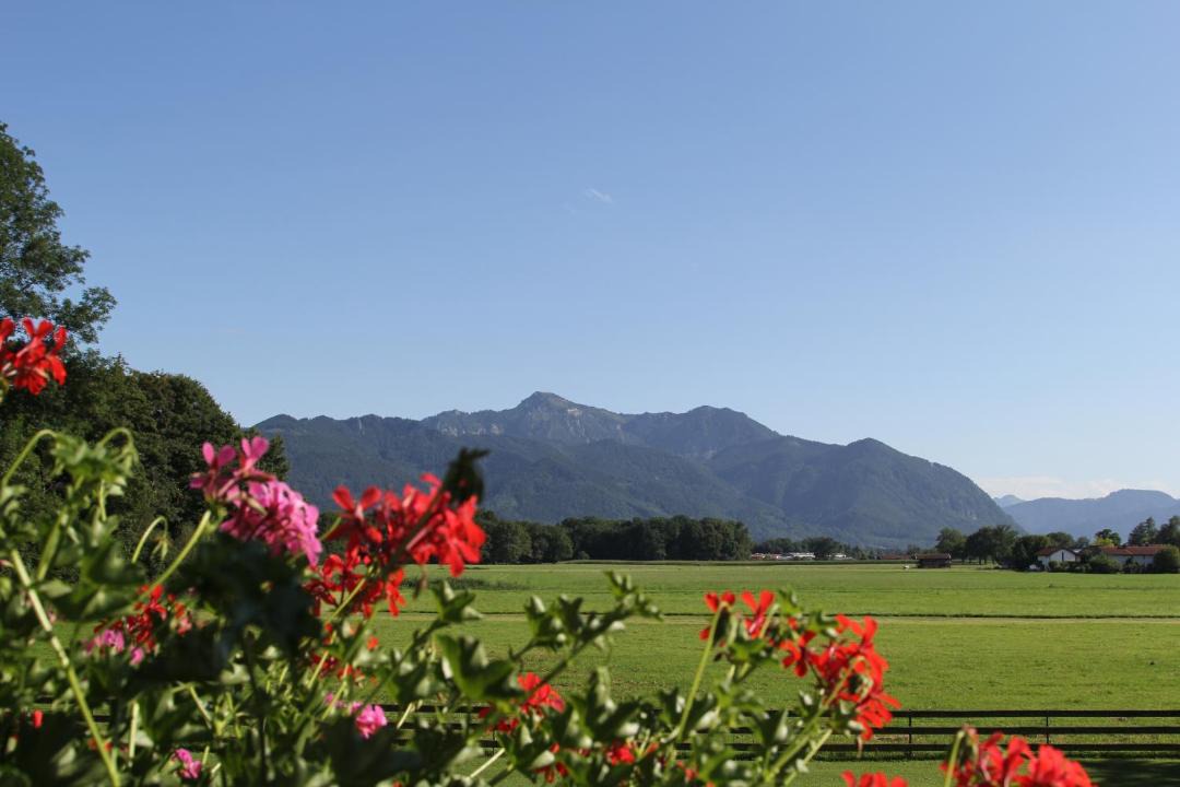 Photo of Others in Uebersee