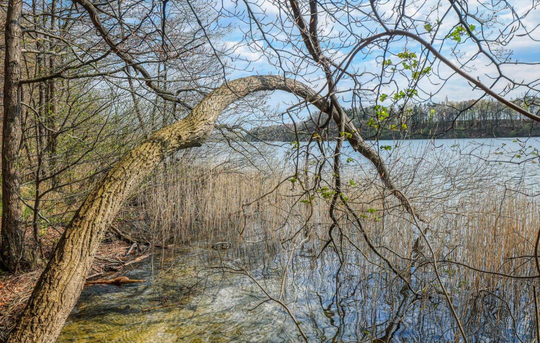 Photo of Others in Schwerin