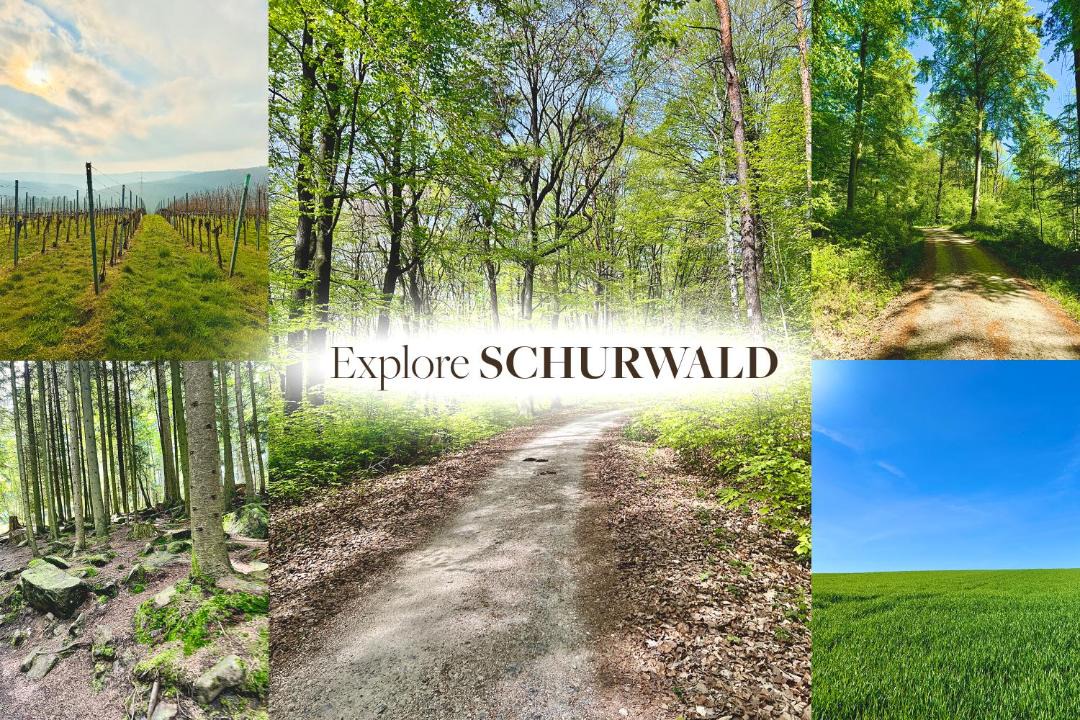 Photo of Others in Aichwald