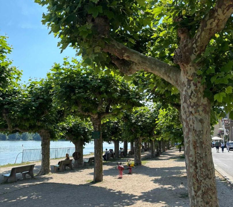 Photo of Others in Mainz-Bingen