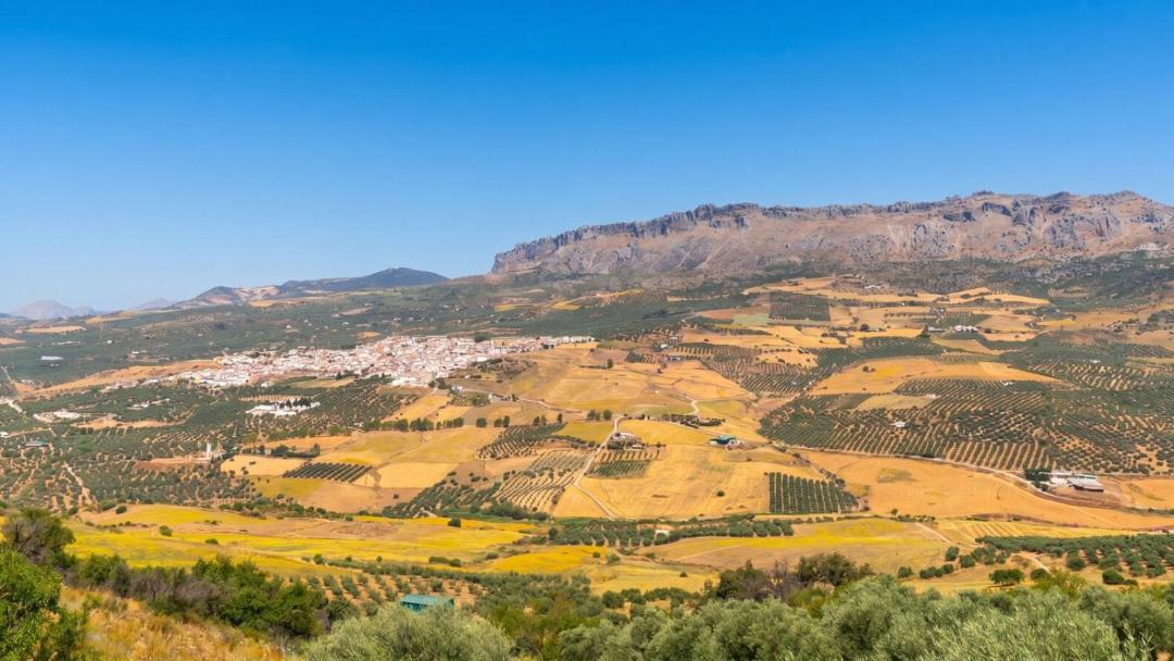 Photo of Others in Antequera