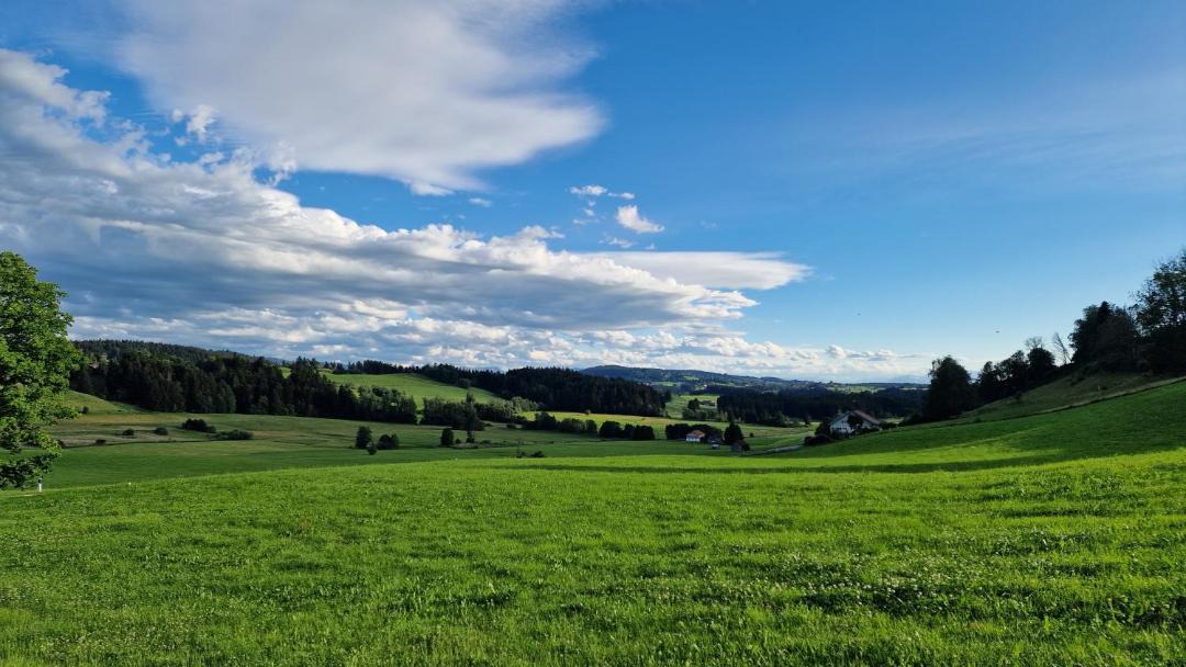 Photo of Others in Stiefenhofen