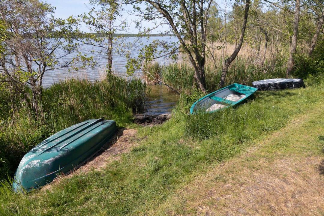 Photo of Others in Benz