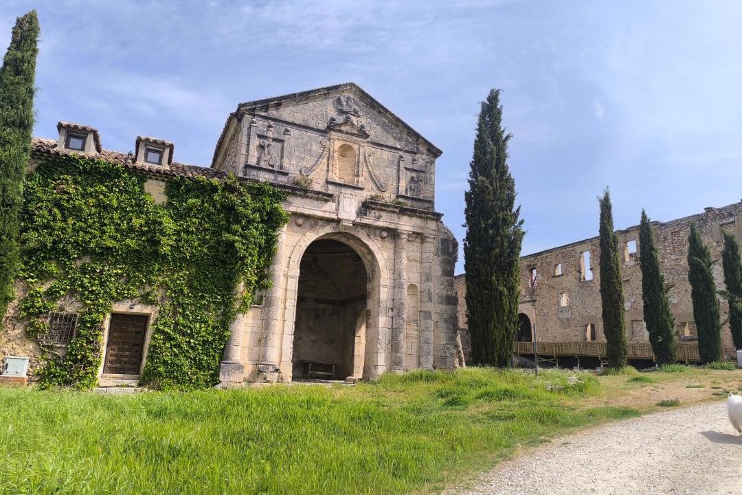 Photo of Others in Corcoles