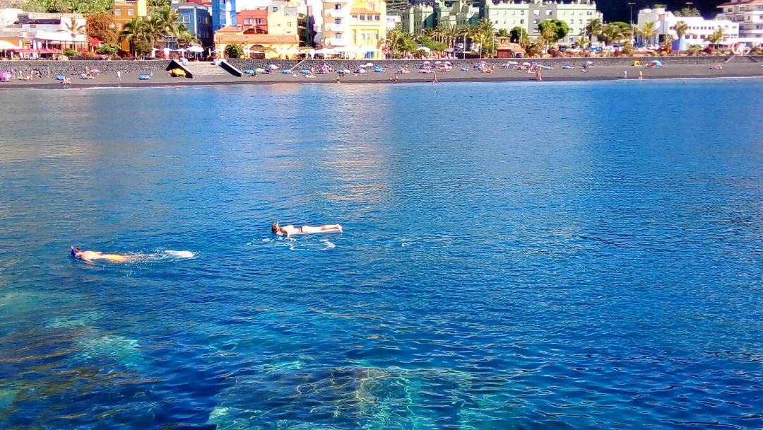Photo of Others in Puerto de Tazacorte
