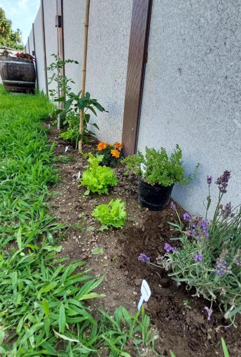 Photo of Outdoor in Quintans