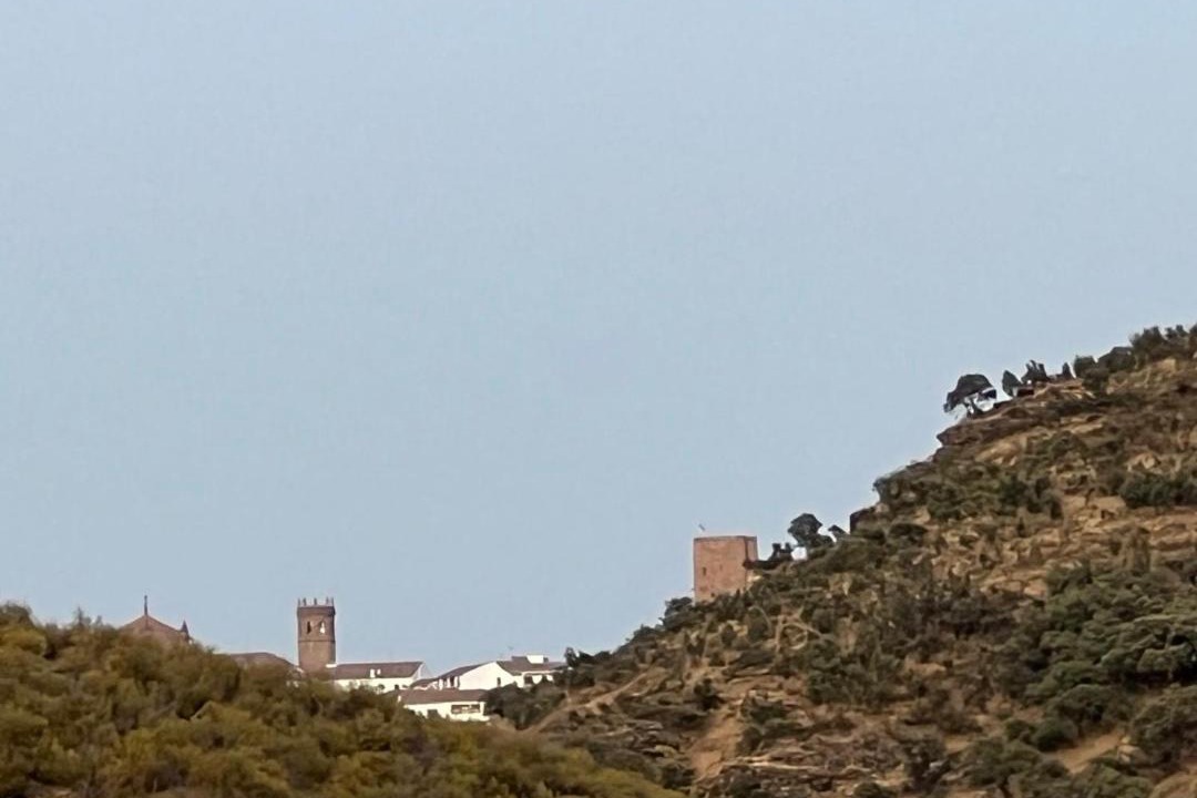 Photo of Others in El Altico