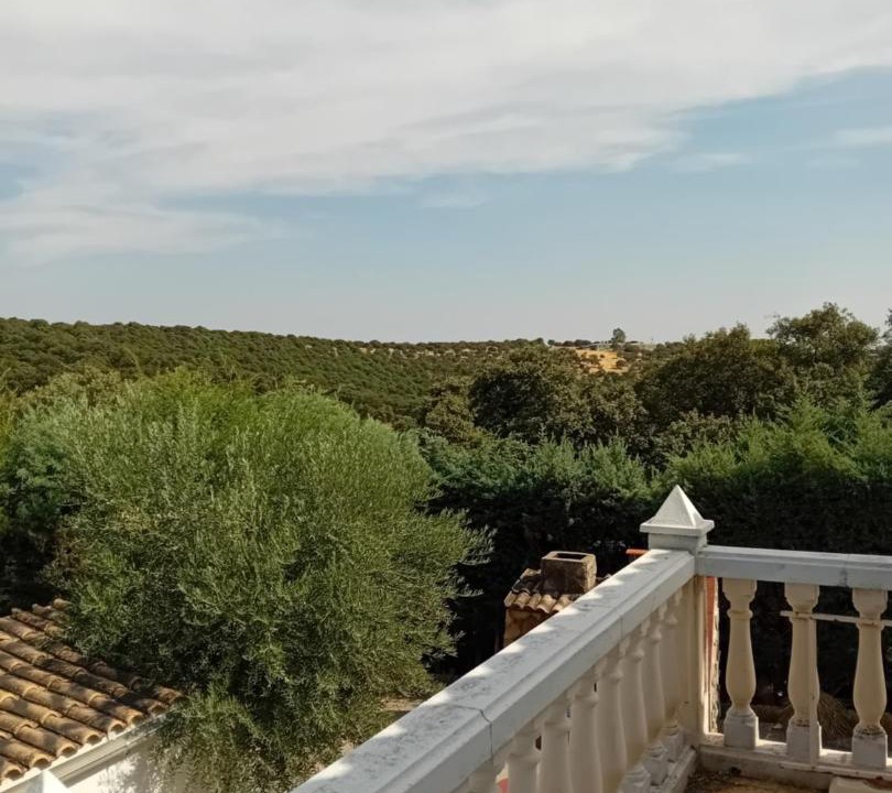 Photo of Others in Villa del Prado