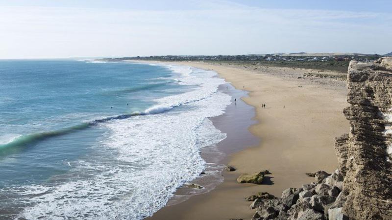 Photo of Others in Brena y Marismas de Barbate Natural Park