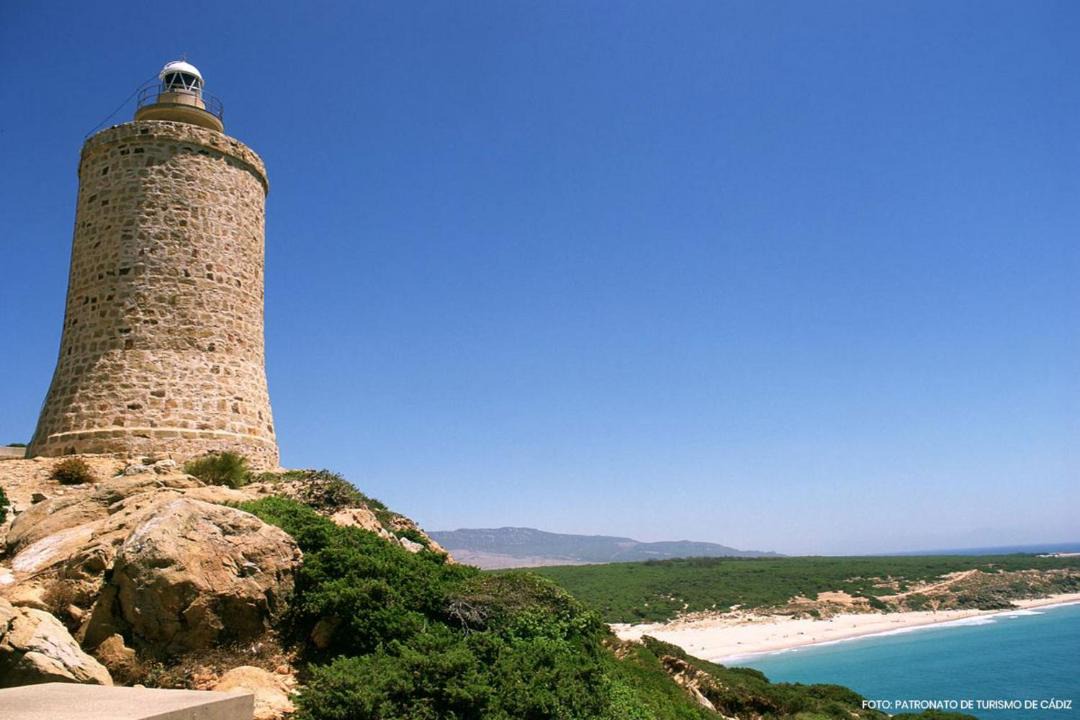 Photo of Others in Brena y Marismas de Barbate Natural Park